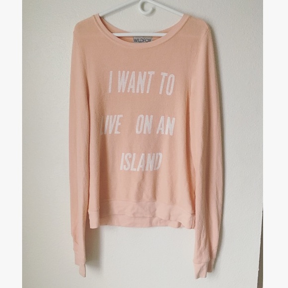 Wildfox Tops - Host pick! Wildfox long sleeve tee
