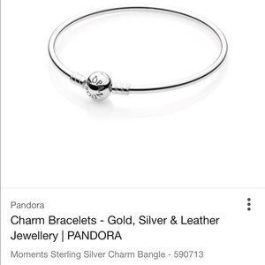 Pandora bracelet