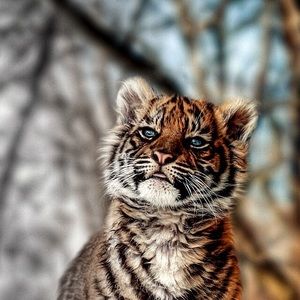 Meet your Posher, Jorge