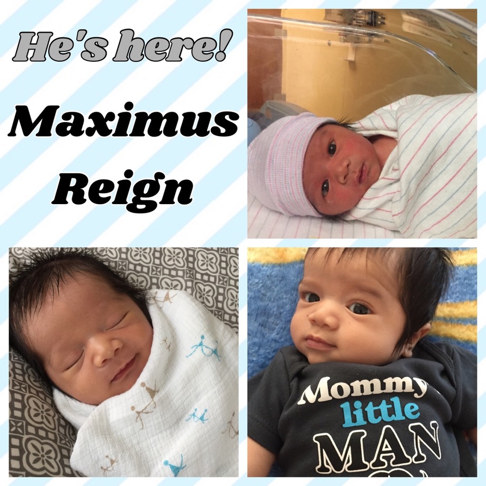 Meet My Max ☺️❤️ Life is FULL of Surprises