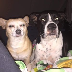 Meet your Posher, Mark