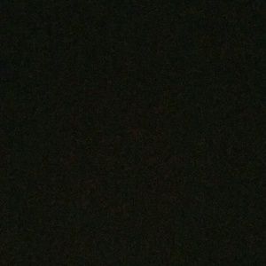 Meet your Posher, Ernesto