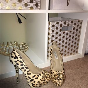 Steve Madden Designer Leopard Studded heels