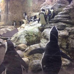 Meet your Posher, Bri