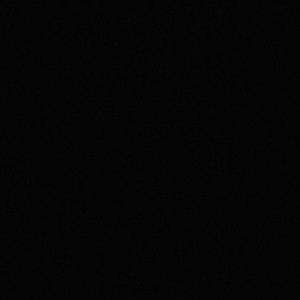 Meet your Posher, Ally