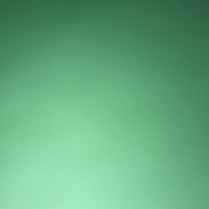 Meet your Posher, Jerry