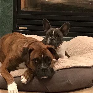 Meet your Posher, Peter