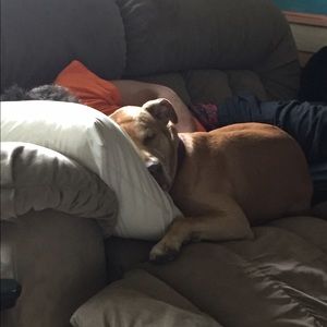 Meet your Posher, Madison