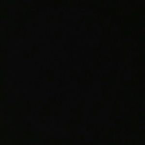 Meet your Posher, Santee