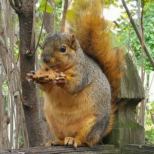 Meet your Posher, Lorey