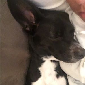 Meet your Posher, Saige