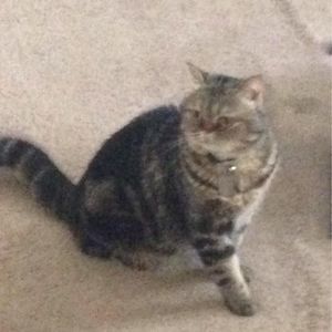 Meet your Posher, Tina