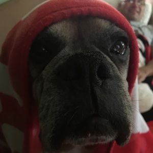 Meet your Posher, Sherry