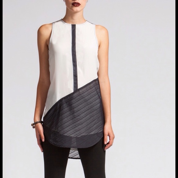 Lia Larrea Tops - World Famous Lia Larrea. Black &White Sheer Tunic