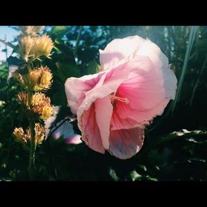 Meet your Posher, Griffin