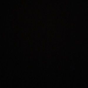 Meet your Posher, Elli