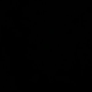 Meet your Posher, Lupita