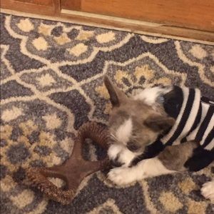 Meet your Posher, Christina