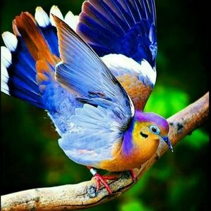 Meet your Posher, Mel