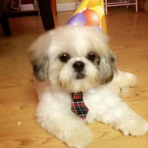 Meet your Posher, Tamra