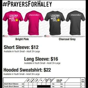 Tee shirt. Long sleeved shirt. Hoodie