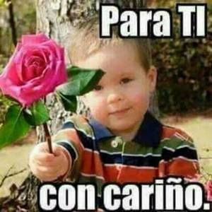 Meet your Posher, Angelo