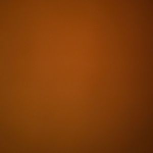 Meet your Posher, Hunter