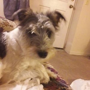 Meet your Posher, Dena