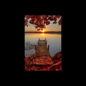 Meet your Posher, Claire