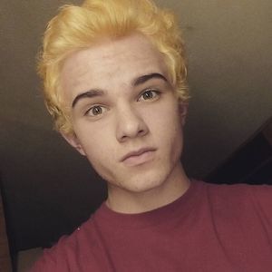 Meet your Posher, Dale jr.