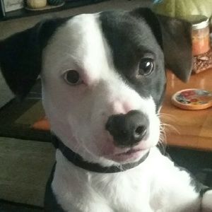 Meet your Posher, Mandy