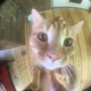 Meet your Posher, Megan