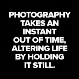 Meet your Posher, Jayne