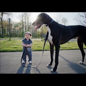 Meet your Posher, Mariela