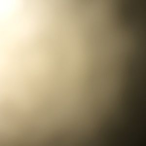 Meet your Posher, Logan