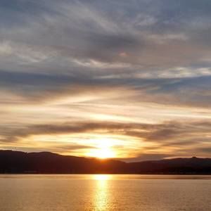 Meet your Posher, Sylvia