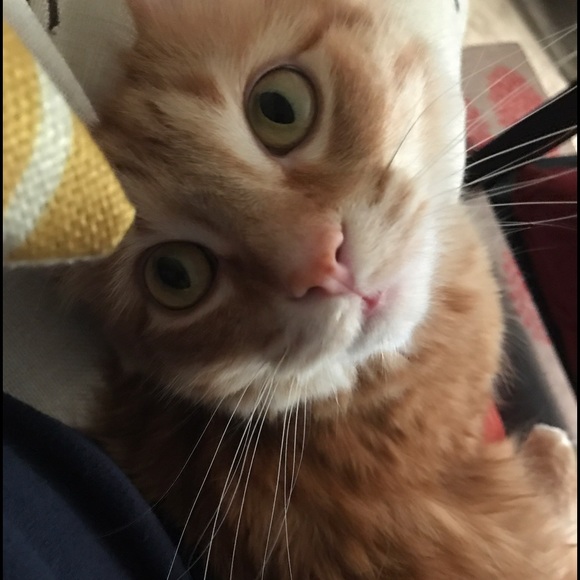 Meet your Posher, Angela