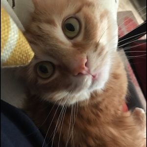 Meet your Posher, Angela