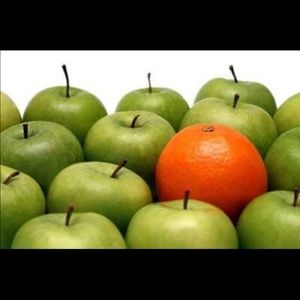 Meet your Posher, Ciera