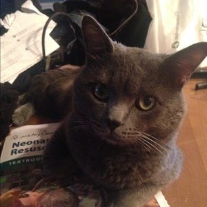 Meet your Posher, Cindy