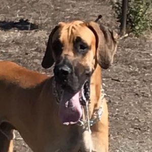 Meet your Posher, Krista