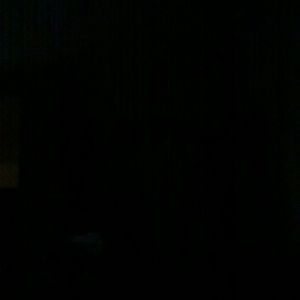 Meet your Posher, Deshund