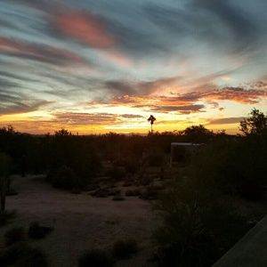 Meet your Posher, Andrew