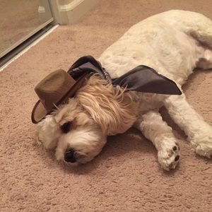 Meet your Posher, Jackie