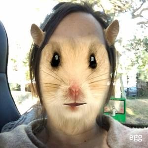 Meet your Posher, Luz