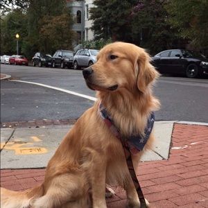 Meet your Posher, Rick