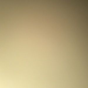 Meet your Posher, Jose