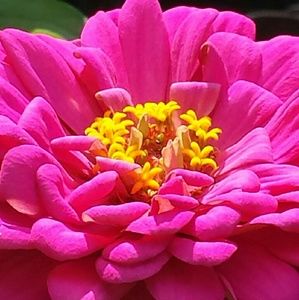 Meet your Posher, Kim