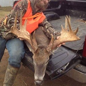 Meet your Posher, Hayden