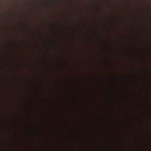 Meet your Posher, Dylan